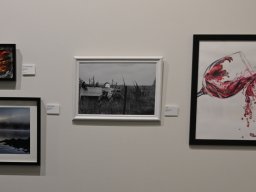 art_show_037